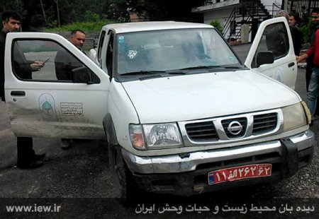 جنگلبان شهرستان نور بر اثر شلیک قاچاقچیان چوب به شهادت رسید