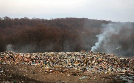 افشاگری رئیس محیط زیست نوشهر از "مافیای زباله"در این شهر/ خطر انتشار گازهای سرطان‌زا در شمال کشور